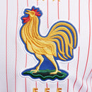 CAMISETA FRANCIA II EURO 2024 HOMBRE