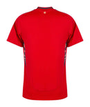 CAMISETA PAIS DE GALES I EURO 2024 HOMBRE