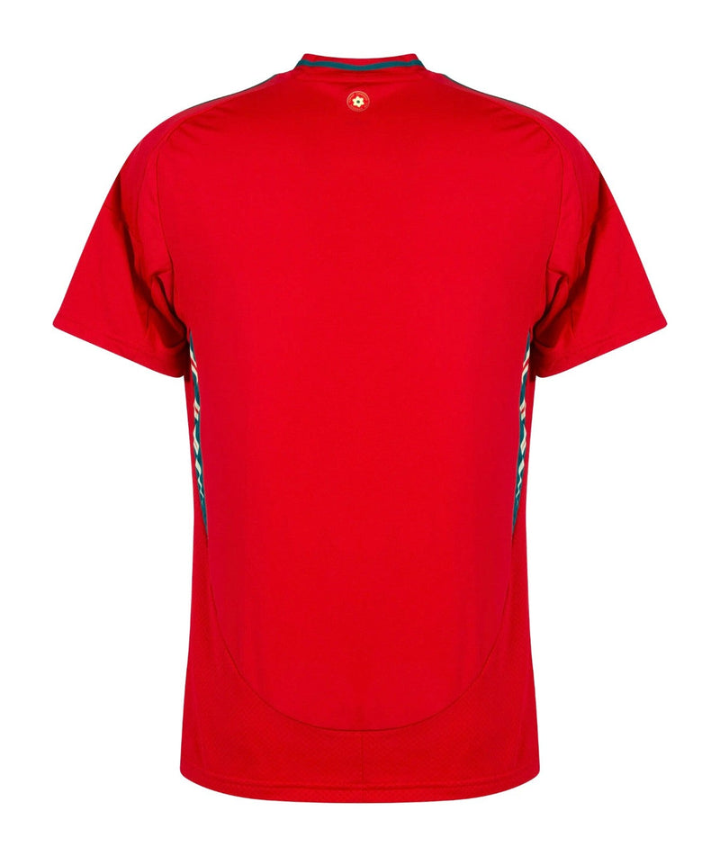 CAMISETA PAIS DE GALES I EURO 2024 HOMBRE