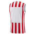 Camiseta del Atlético de Madrid 2025 2026 sin mangas para hombre roja y blanca de tirantes jersey de entrenamiento oficial del Atleti Tienda Hincha Futbolero, Camiseta Atlético de Madrid sin mangas, Jersey Atlético de Madrid 2025 entrenamiento, Camiseta Atleti tirantes 2026, Camiseta del Atlético de Madrid original hombre, Comprar ropa de entrenamiento Atleti, Calidad premium Atlético de Madrid, Camiseta fútbol rojiblanca sin mangas, Ropa gimnasio fútbol, Jersey de colección colchonero.