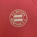 BAYERN MUNICH CASUAL 25/26 HOMBRE