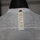 PAIS DE GALES EDICIÓN ESPECIAL 25/26 HOMBRE (VERSIÓN JUGADOR)