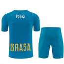 Conjunto hombre Selección Brasil temporada 2026 2027 oficial camiseta y pantalón corto verde fútbol técnica transpirable Canarinha entrenamiento mundial.