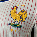 CAMISETA FRANCIA II MANGA LARGA 24/25 HOMBRE (VERSIÓN JUGADOR)