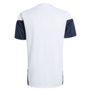 Camiseta hombre entrenamiento Selección Argentina temporada 2026 2027 color blanca oficial 3 estrellas fútbol técnica transpirable mundial white.