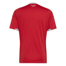 Camiseta hombre Selección Gales temporada 2026 2027 primera equipación oficial color roja fútbol técnica transpirable Dragons celta.